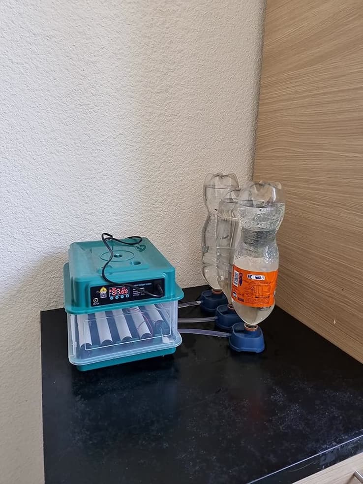 Photo client de la couveuse 16 œufs avec sa bouteille d'eau