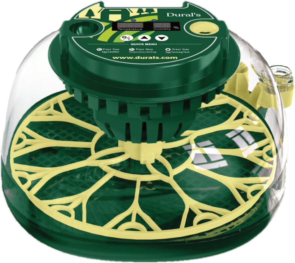 Couveuse automatique Dural's DX3, socle vert et dôme transparent
