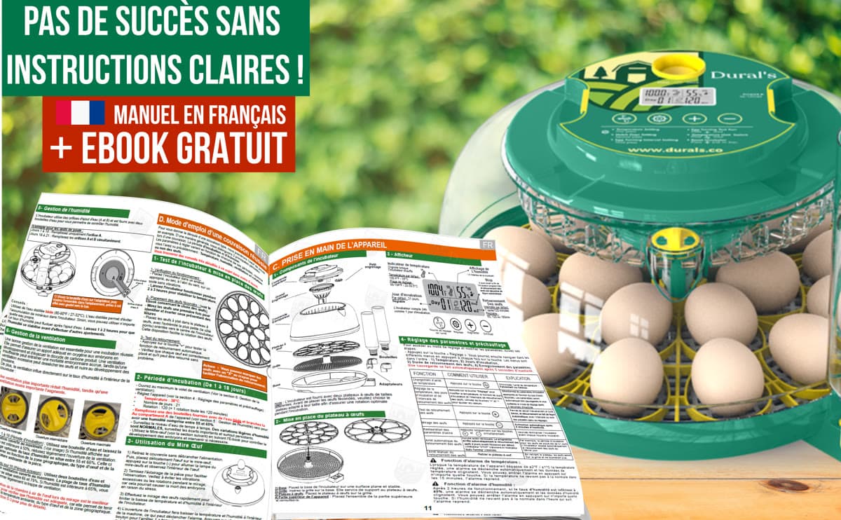 Ebook De l'œuf à la poule posé près de la couveuse Dural's