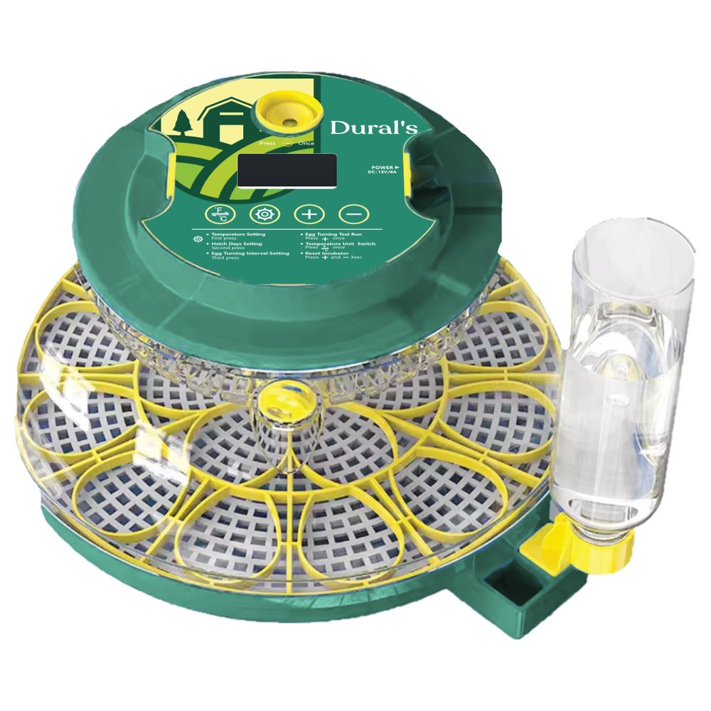 Couveuse automatique Dural's DX5, capot vert et dôme transparent