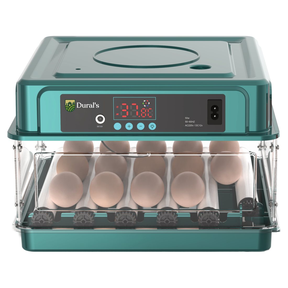 Couveuse automatique Dural's GC5601 de face, écran de contrôle et tiroir rempli d'œufs